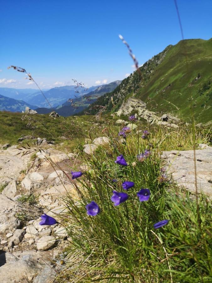 Ferienwohnungen Fichtenheim Mayrhofen Kültér fotó